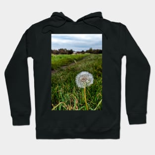 Dandelion (seeds) Hoodie